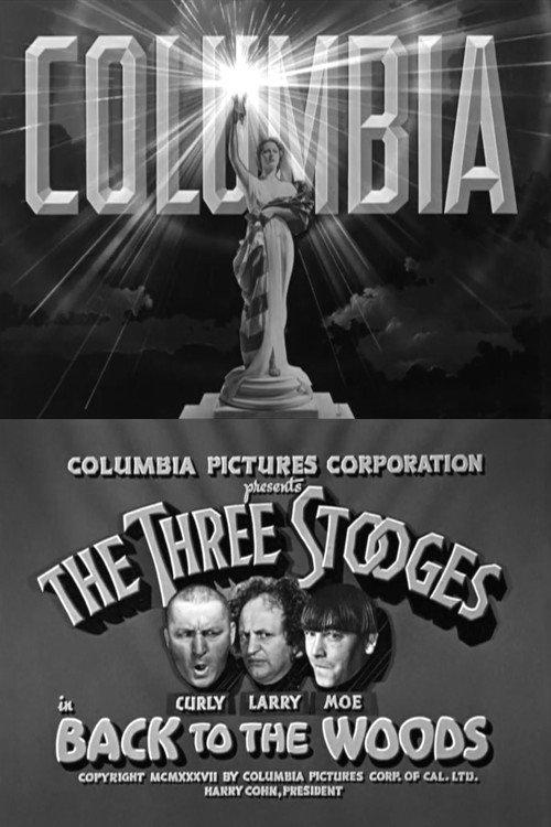 Back to the Woods film afişi