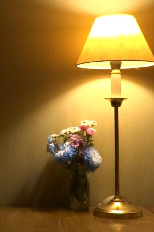 Directing Exercise Number 1 film afişi