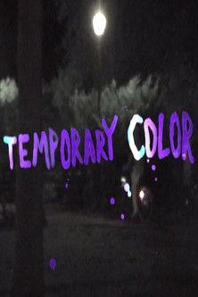 Temporary Color film afişi