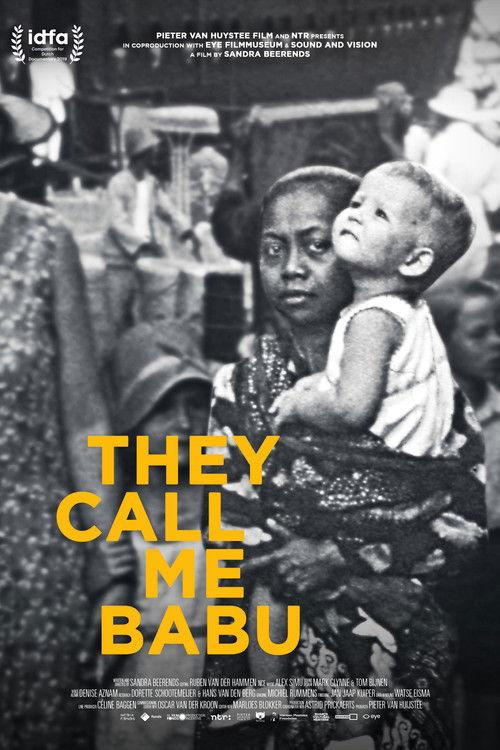 They Call Me Babu film afişi