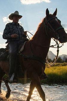 Father Nature film afişi