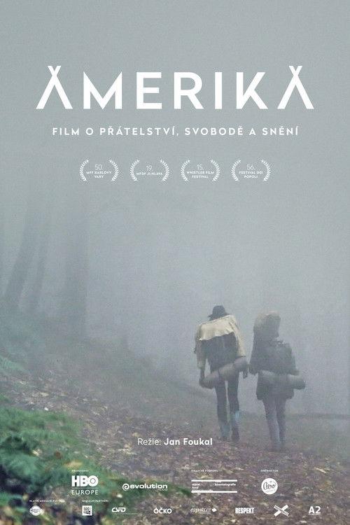 Amerika film afişi
