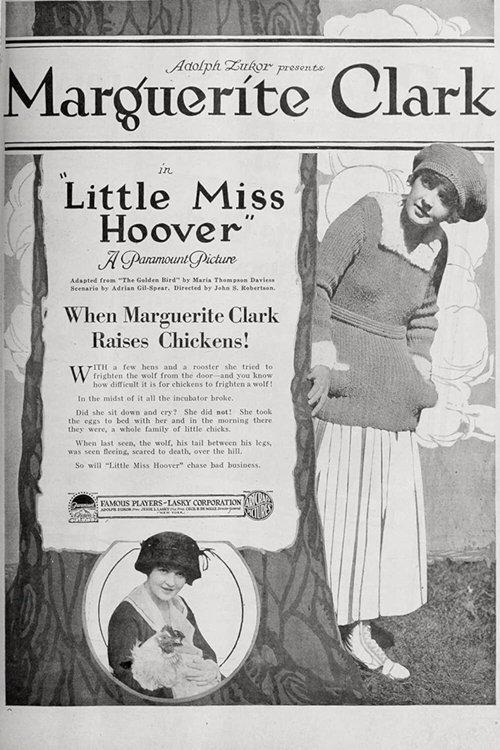 Little Miss Hoover film afişi