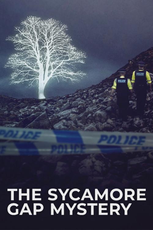 The Sycamore Gap Mystery dizi afişi