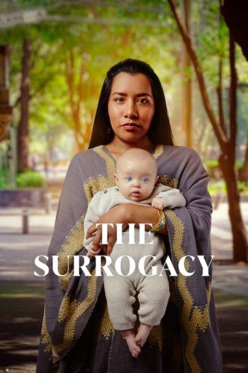 The Surrogacy dizi afişi