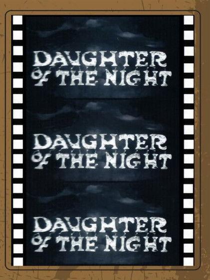 Daughter of the Night 2 film afişi
