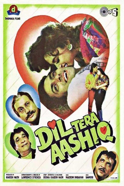 Dil Tera Aashiq film afişi