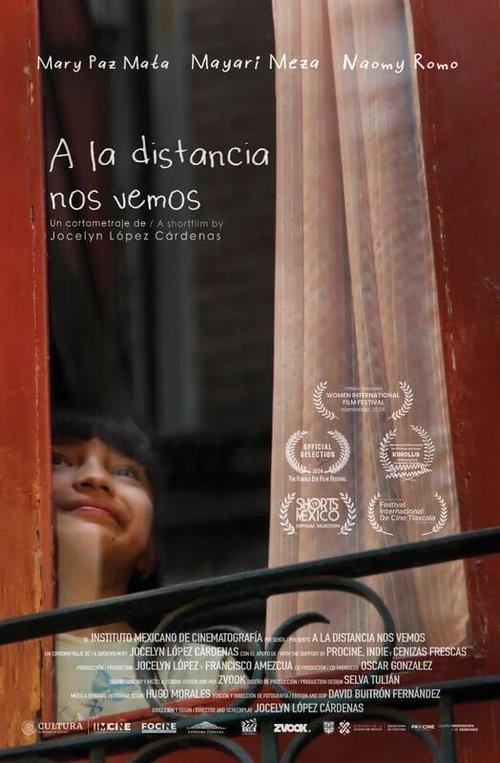 From A Distance We See Each Other film afişi