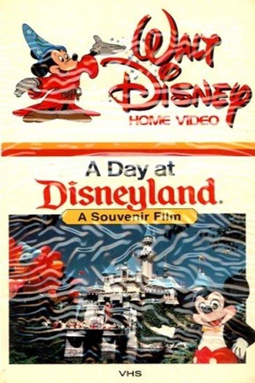 A Day at Disneyland 1991 film afişi