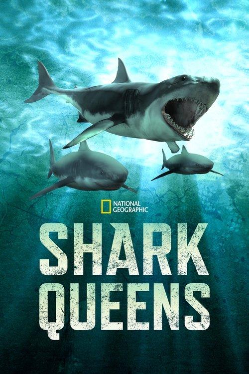 Shark Queens film afişi