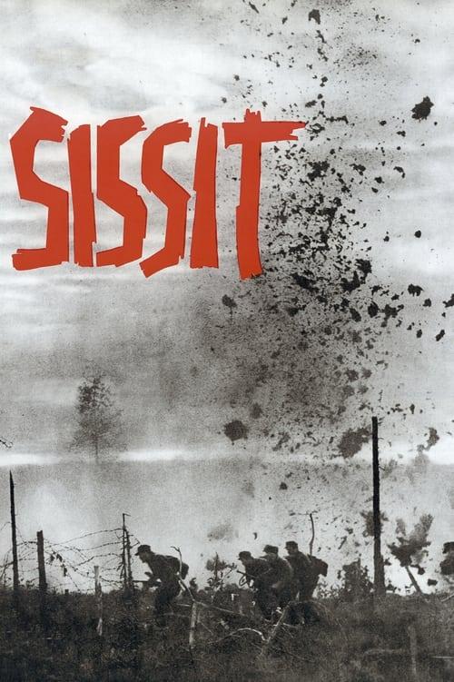 Commando Assault film afişi