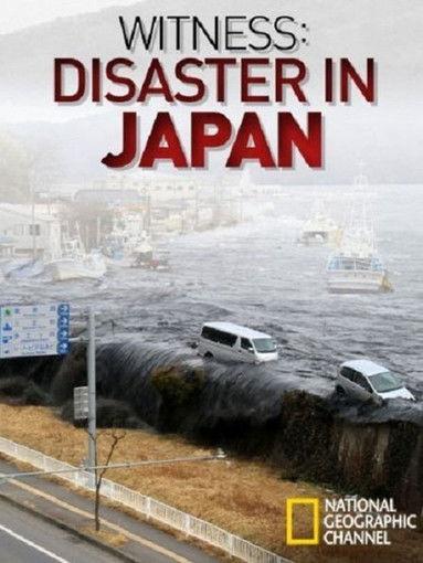 Witness: Disaster in Japan film afişi