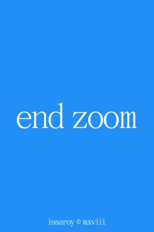 End Zoom film afişi