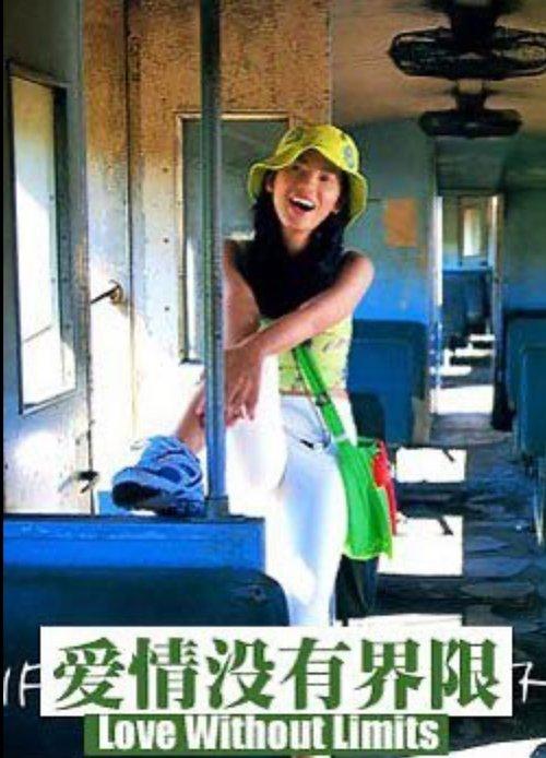 Love Without Limits film afişi