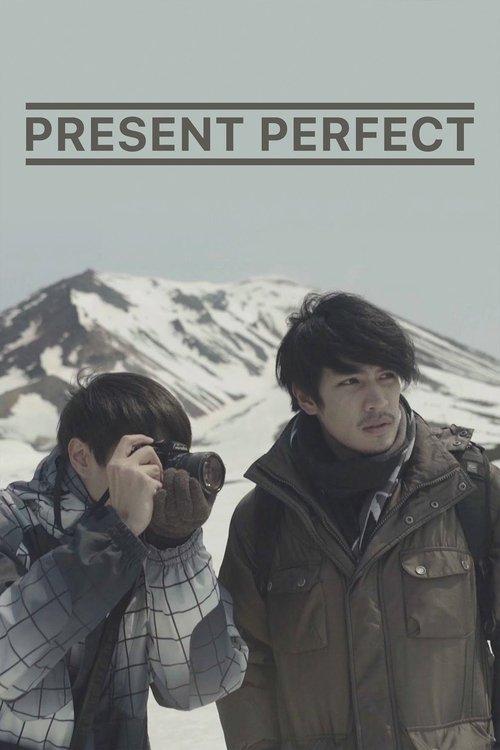 Present Perfect film afişi
