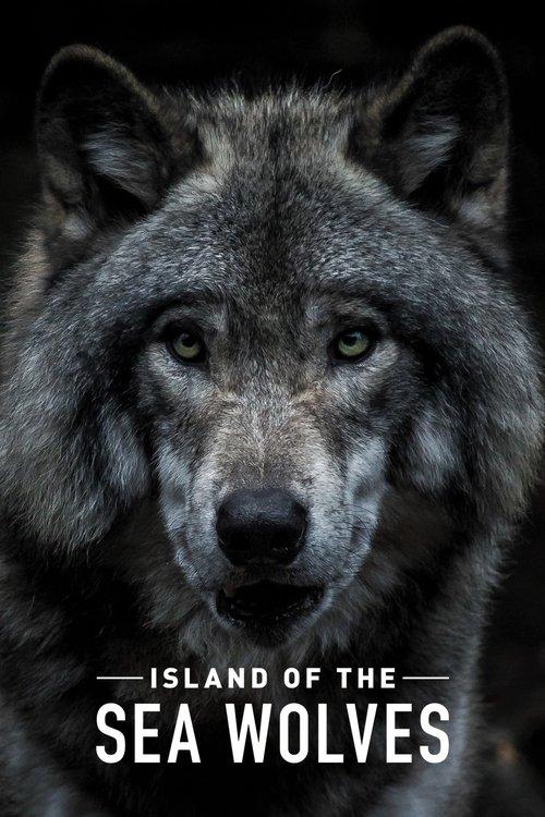 Island of the Sea Wolves Sezon 1