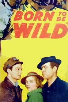 Born to Be Wild film afişi