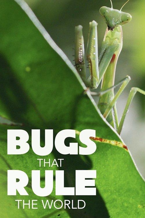 Bugs That Rule the World dizi afişi