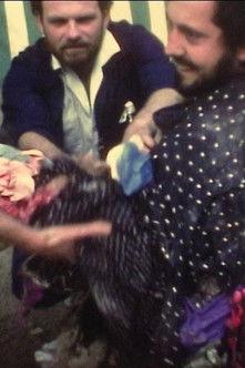 Chutes de Michel Nedjar film afişi