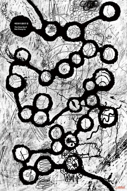 The Close Up of Bae Chang-ho film afişi