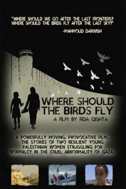 Where Should the Birds Fly? film afişi