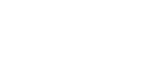 Old Dog logo