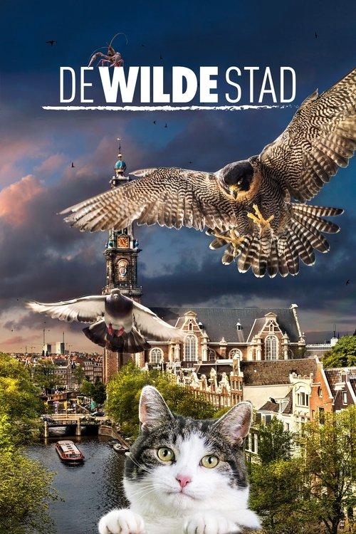 Wild Amsterdam film afişi