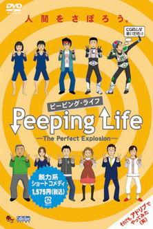 Peeping Life Sezon 6