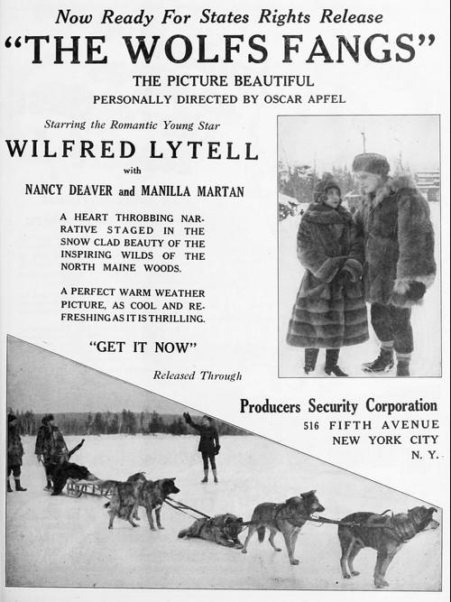 The Wolf's Fangs film afişi