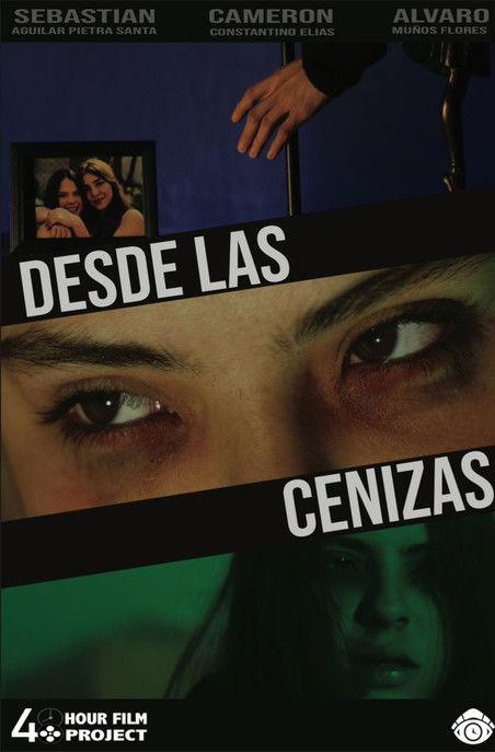 From the Ashes film afişi