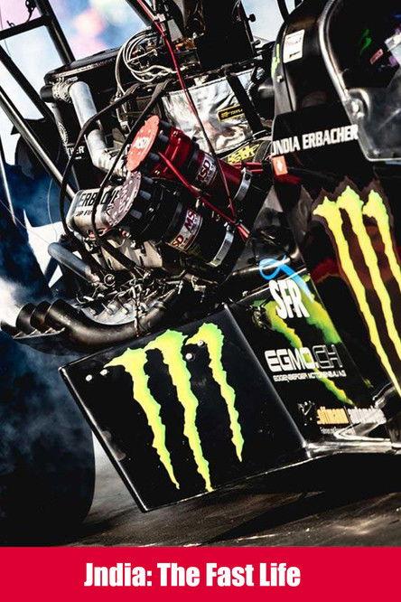 Jndia: The Fast Life film afişi