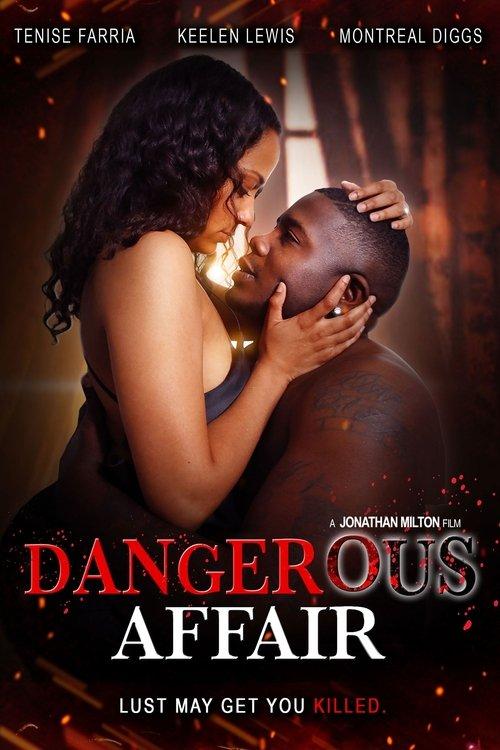Dangerous Affair film afişi