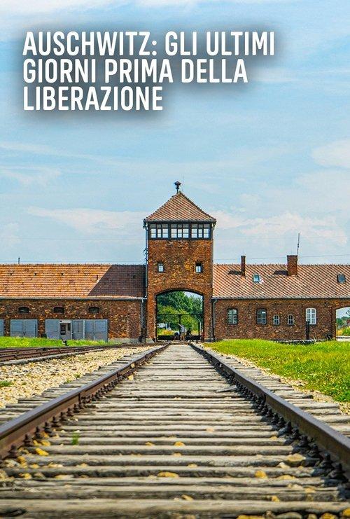 Auschwitz: Countdown to Liberation film afişi