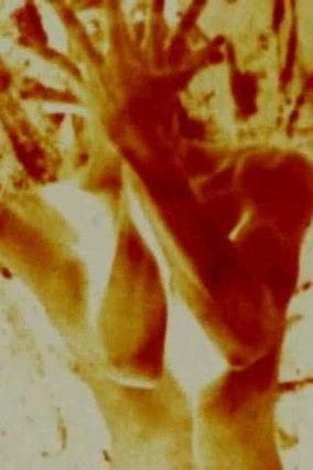 The Red Thread film afişi