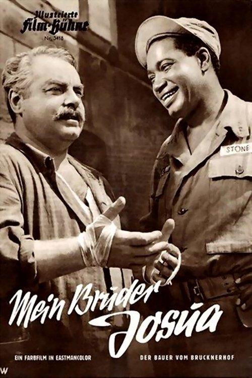 The Farmer from Brucknerhof film afişi