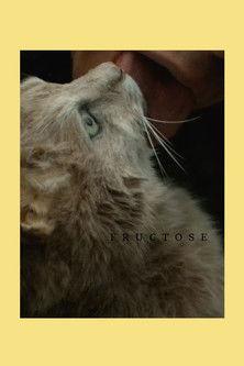 Fructose film afişi