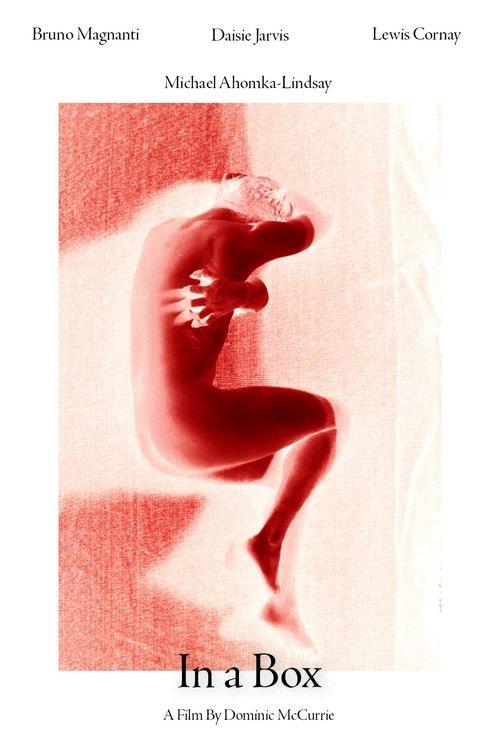 In A Box film afişi