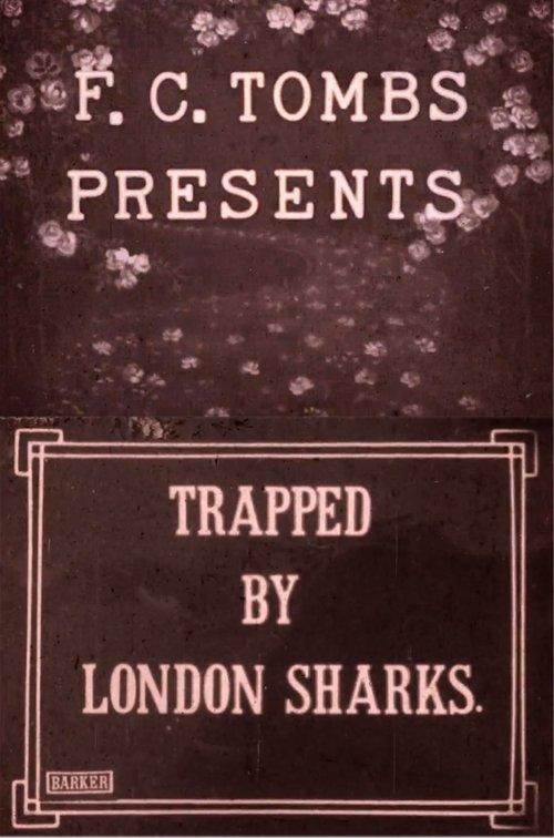 Trapped by London Sharks film afişi