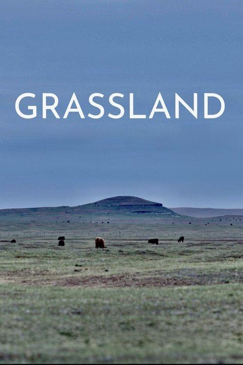 Grassland film afişi