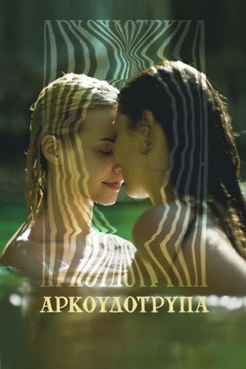 Bearcave film afişi