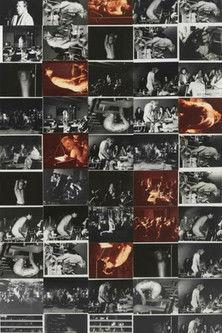 Class Fool film afişi