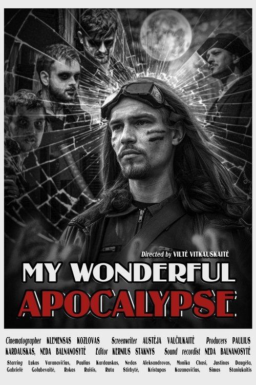 My wonderful Apocalypse film afişi