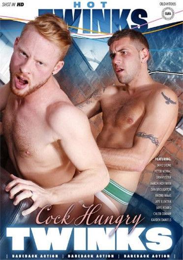 Cock Hungry Twinks film afişi