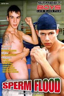 Sperm Flood film afişi