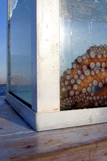 Outlandish: Strange Foreign Bodies film afişi