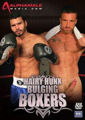 Hairy Hunx: Bulging Boxers film afişi