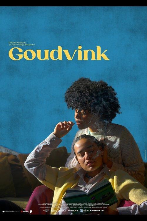 Goudvink film afişi