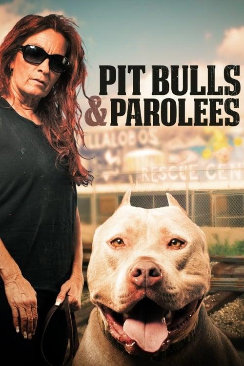 Pit Bulls and Parolees dizi afişi