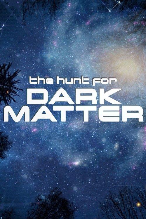 The Hunt for Dark Matter film afişi