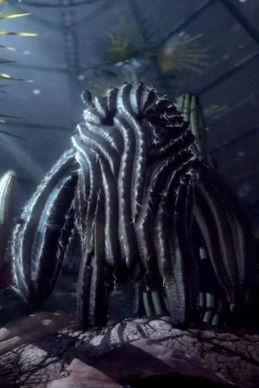 Botanica Liberta film afişi